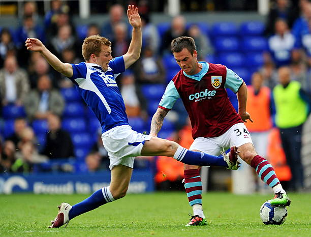 现出更高的 现出更高的