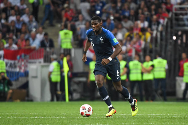 了莲藕与荷 了莲藕与荷