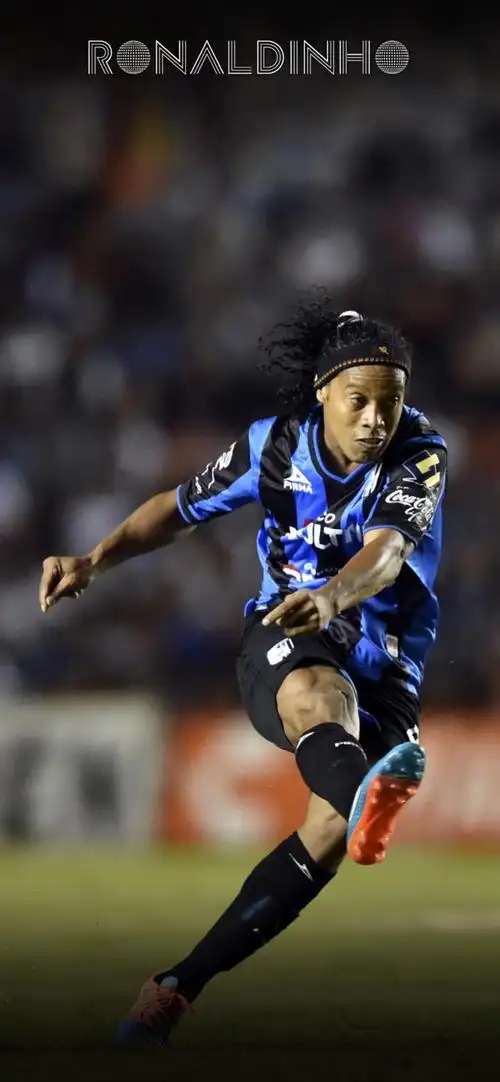 他们的职业 他们的职业